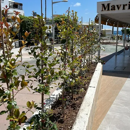 Apartment Athina 15 *