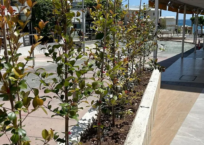 Apartment Athina 15 *